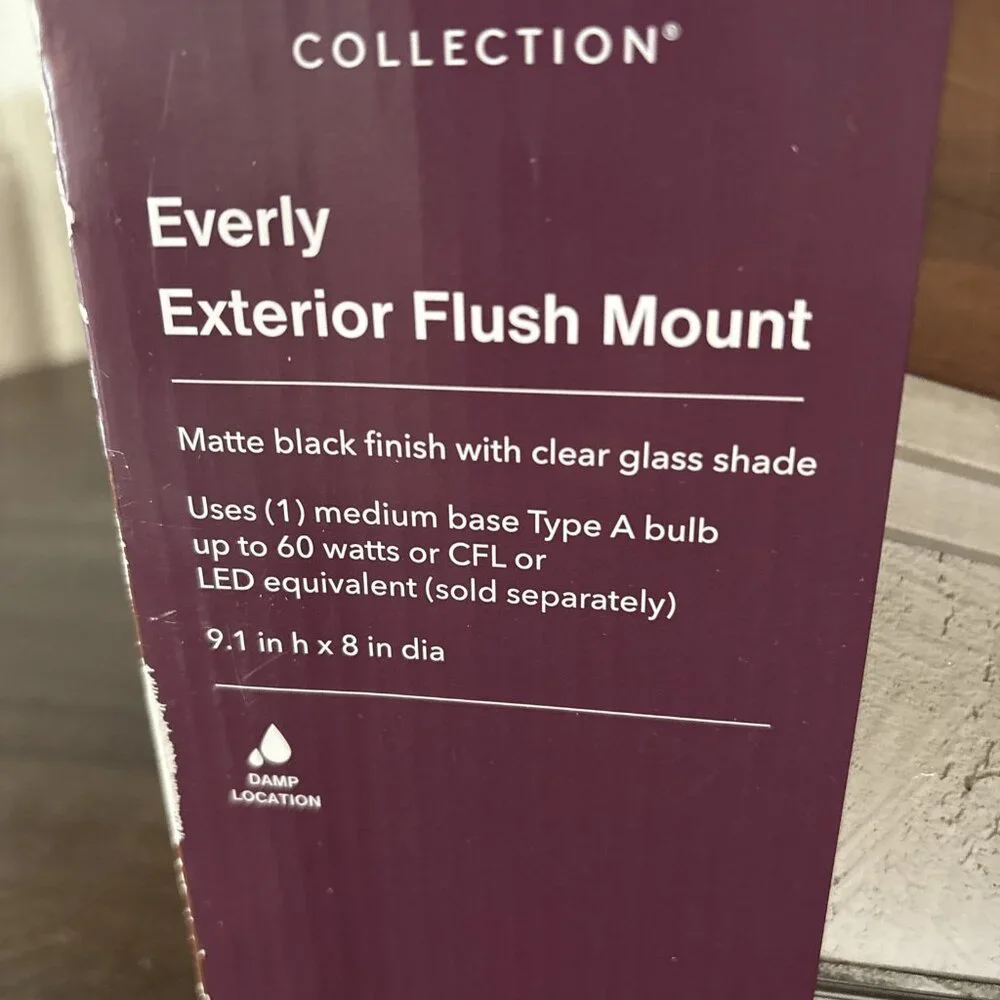 NIB! HDC Everly Exterior Flush Mount Item #1005-135-707 (Model #44497) 9.1” x 8”
